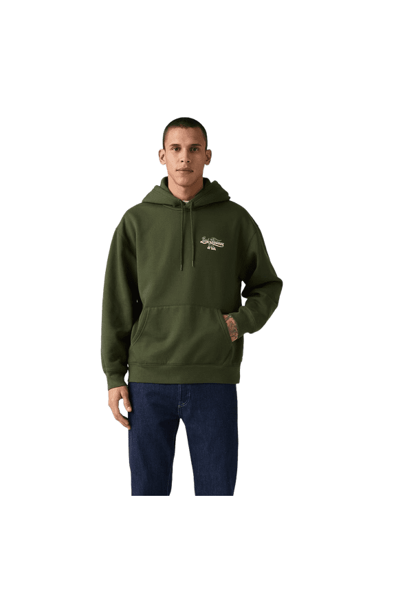 Men's Relaxed Fit Pullover Hooded Sweatshirt - (Green, Small)