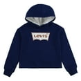 thumbnail image 1 of Levi's Toddler Girls' High Rise Pullover Hoodie, Sizes 2T-4T, 1 of 3