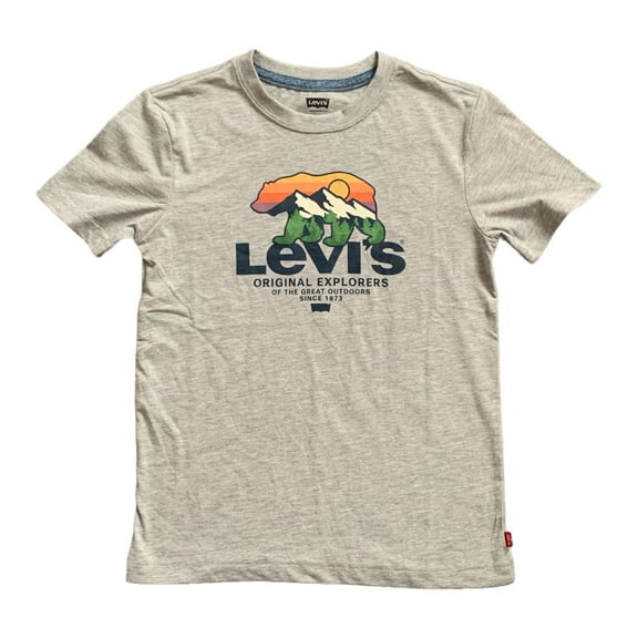 Levi's Youth Boy's Soft Lightweight Short Sleeve T-Shirt, 91M093 (Grey Heather, XL (14/16))