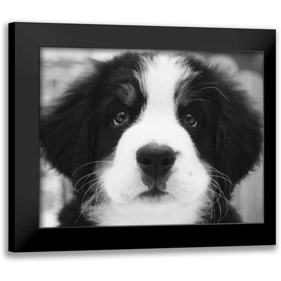 Levin, Kim 14x12 Black Modern Framed Museum Art Print Titled - Ben