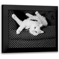 thumbnail image 1 of Levin, Kim 18x15 Black Modern Framed Museum Art Print Titled - Birdie, 1 of 5