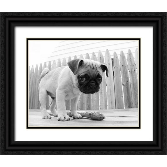 Levin, Kim 24x20 Black Ornate Wood Framed with Double Matting Museum Art Print Titled - Bentley