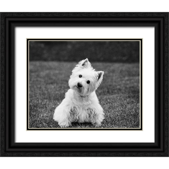 Levin, Kim 32x26 Black Ornate Wood Framed with Double Matting Museum Art Print Titled - Winnie