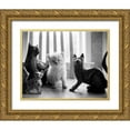 thumbnail image 1 of Levin, Kim 32x26 Gold Ornate Wood Framed with Double Matting Museum Art Print Titled - Ragdoll Kitten, 1 of 4