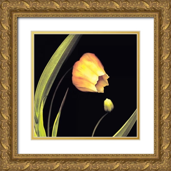 Levine, Andrew 12x12 Gold Ornate Wood Framed with Double Matting Museum Art Print Titled - Japanese Lanterns