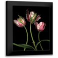 thumbnail image 1 of Levine, Andrew 12x14 Black Modern Framed Museum Art Print Titled - Parrot Tulips II, 1 of 5