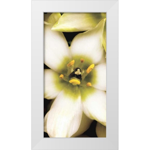 Levine, Andrew 9x14 White Modern Wood Framed Museum Art Print Titled - Star of Bethlehem Triptych
