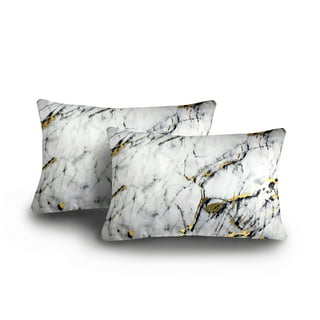 https://i5.walmartimages.com/seo/Levinsohn-Textile-Company-Edie-AtHome-Precious-Metals-Collection-Printed-Marble-20x20-2-Pack-Decorative-Throw-Pillow-Set-White-Black-N-A_838590b5-c8a0-4809-8956-65e883b5c544.1f08a25d0e381c0fd2b1380105a0a6df.jpeg?odnHeight=320&odnWidth=320&odnBg=FFFFFF