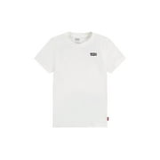 Levis Little Boys Natural Wonders Graphic T-Shirt Sugar Swizzle 4