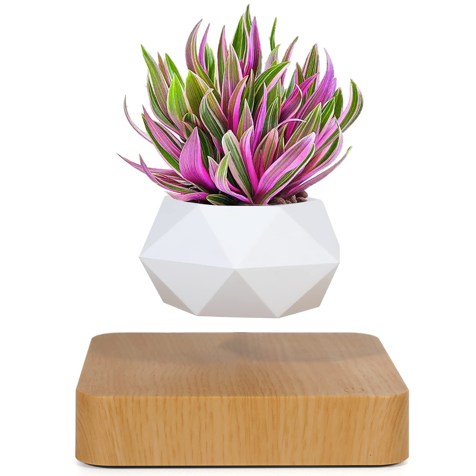 White Geometric Magnetic Levitation Planter with Wood Base