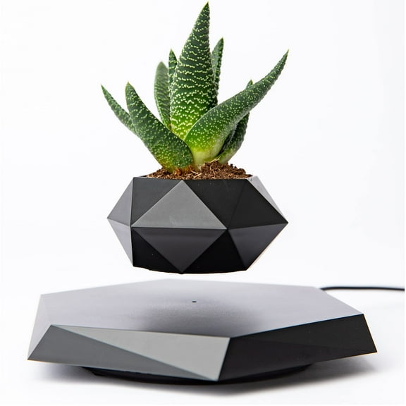 Levitating Plant Pot - Floating Plant Pot for Small Plants. Levitating Decor for Home & Office Magnetic Floating Levitating Display (Black)