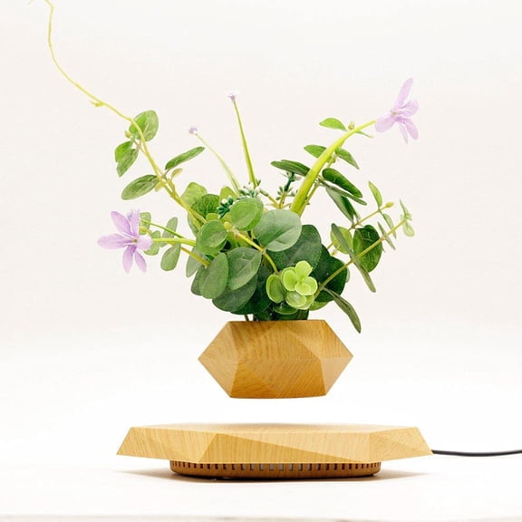 Levitating Plant Pot Hexagon Floating Air Bonsai Pot Suspension Flowerpot Planter for Office Home Decoration