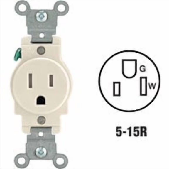 Leviton Commercial Grade Tamper Resistant Single Outlet - Pack of 10 Bulk Value Case