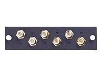 Leviton - Faceplate - F connector X 6 - black