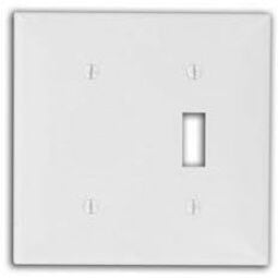White Thermoplastic Nylon 2-Gang Switch Wallplate