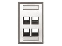 Leviton QuickPort Stainless Steel Wallplate with Designation Windows - Mounting plate - 1-gang - 4 ports