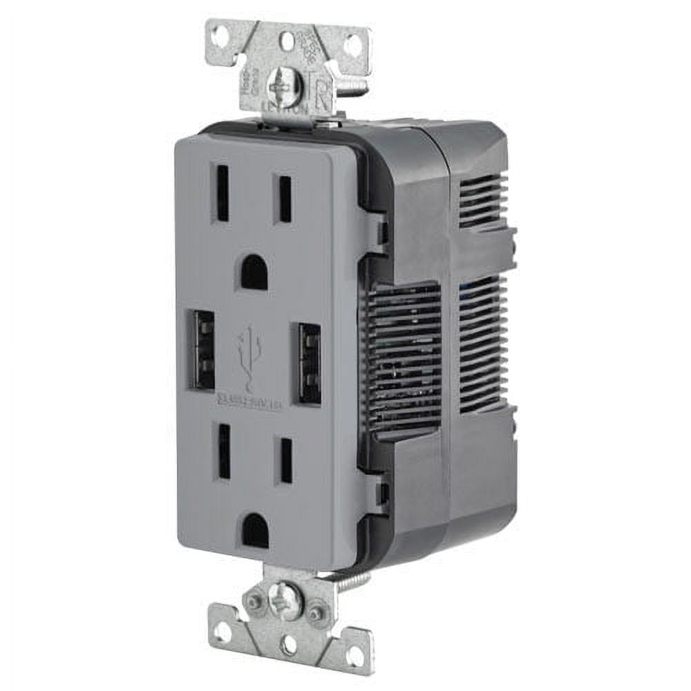 Gray 15A Tamper-Resistant Outlet with Dual USB Ports