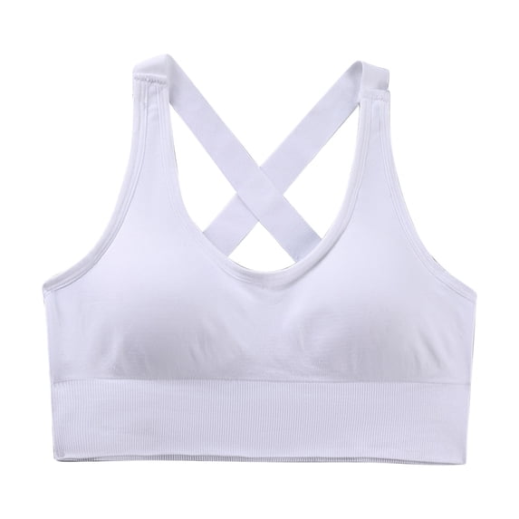 Levmjia Women Wireless Comfort Bra Plus Size Full Coverage Seamless Breathable Sports Bra for Yoga Gym Everyday Wear Lightweight Soft Support Multi Color Options