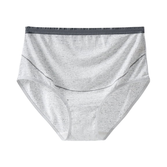 Levmjia Women Underpants 5 Pack Cotton Solid Color Briefs High Waist Plus Size Panties Breathable Comfortable No Show Invisible Seamless Everyday Wear