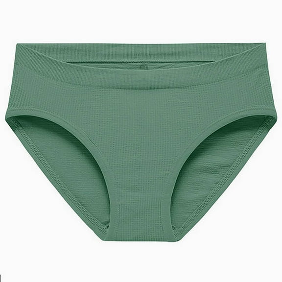 Levmjia Womens Underwear High Waist Cotton Seamless Breathable Panties Soft Comfortable No Show Hipster Panty for Women Daily Wear 6 Pack