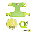 thumbnail image 1 of Levviye Dog Harness Backpack & Leash Adjustable Vest Breathable Harness Fruit Pattern Carrier Bag for Puppies Walking, Lemon L, 1 of 7