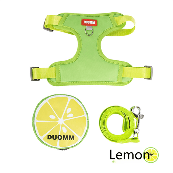 Levviye Dog Harness Backpack & Leash Adjustable Vest Breathable Harness Fruit Pattern Carrier Bag for Puppies Walking, Lemon S