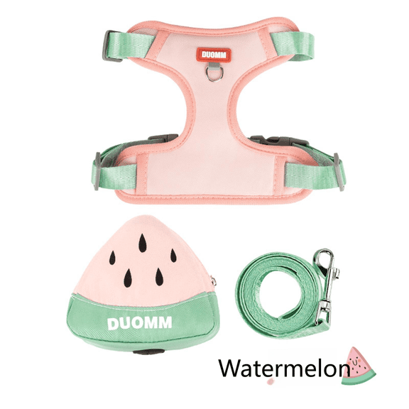 Levviye Dog Harness Backpack & Leash Adjustable Vest Breathable Harness Fruit Pattern Carrier Bag for Puppies Walking, Watermelon XS