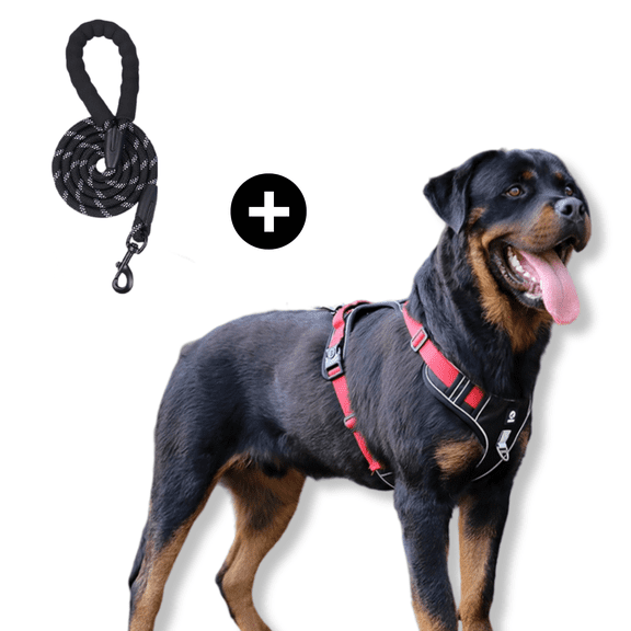 Levviye Dog Harness & Leash Set Reflective Adjustable Pet Vest with Foam Handle Durable Rope for Dogs Walking Training, Black S