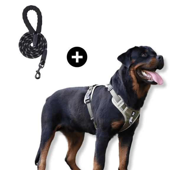 Levviye Dog Harness & Leash Set Reflective Adjustable Pet Vest with Foam Handle Durable Rope for Dogs Walking Training, Khaki L