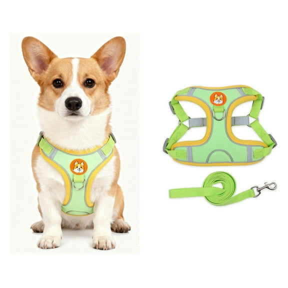 Levviye Dog Harness and Leash Reflective Breathable Set - Adjustable Vest Style for Walking, Green S