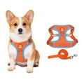 thumbnail image 1 of Levviye Dog Harness and Leash Reflective Breathable Set - Adjustable Vest Style for Walking, Orange M, 1 of 7