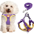 thumbnail image 1 of Levviye Dog Harness and Leash Reflective Breathable Set - Adjustable Vest Style for Walking, Purple M, 1 of 7