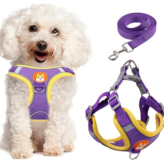Levviye Dog Harness and Leash Reflective Breathable Set - Adjustable Vest Style for Walking, Purple M