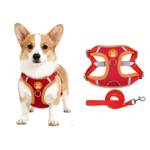 Levviye Dog Harness and Leash Reflective Breathable Set - Adjustable Vest Style for Walking, Red S
