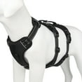 thumbnail image 1 of Levviye Large Dog All-in-One Escape-Proof Harness Oxford Cloth Leash Compatible, Black L, 1 of 7