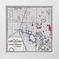 thumbnail image 1 of Levy Type 20x20 White Modern Wood Framed Museum Art Print Titled - Florida - Levy Type 1876, 1 of 4