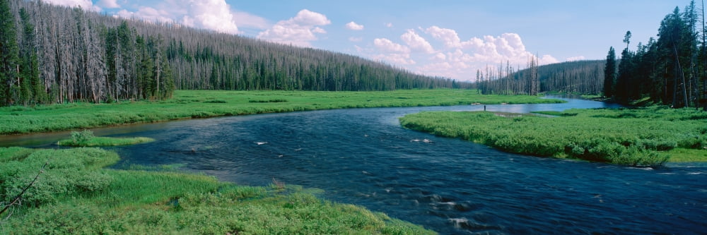 Lewis River in Yellowstone National Park Wyoming Canvas Art - Panoramic Images (27 x 9)