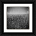 thumbnail image 1 of Lewis, Sheldon 12x12 Black Ornate Wood Framed with Double Matting Museum Art Print Titled - Wild Flower Field, 1 of 4