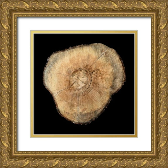 Lewis, Sheldon 12x12 Gold Ornate Wood Framed with Double Matting Museum Art Print Titled - Dark Rings Of Ages 3