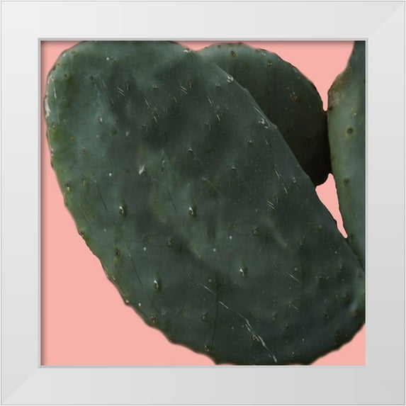 Lewis, Sheldon 12x12 White Modern Wood Framed Museum Art Print Titled - Cactus Land