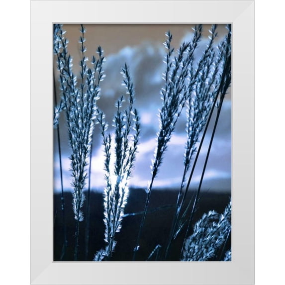 Lewis, Sheldon 12x14 White Modern Wood Framed Museum Art Print Titled - Blue Sunset 3