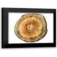 thumbnail image 1 of Lewis, Sheldon 14x12 Black Modern Framed Museum Art Print Titled - Earthy Rings Of Ages 2, 1 of 5