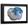 thumbnail image 1 of Lewis, Sheldon 14x12 Black Modern Framed Museum Art Print Titled - Saturn Rings Of Blue, 1 of 5