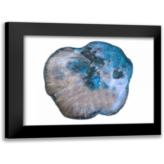 Lewis, Sheldon 14x12 Black Modern Framed Museum Art Print Titled - Saturn Rings Of Blue