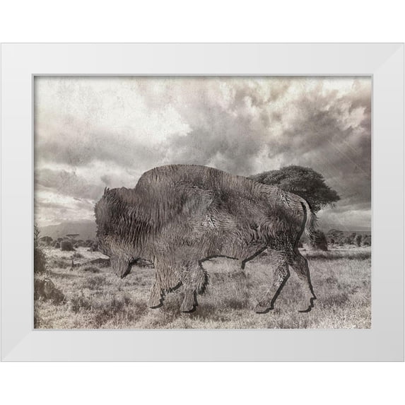 Lewis, Sheldon 14x12 White Modern Wood Framed Museum Art Print Titled - Bison 2