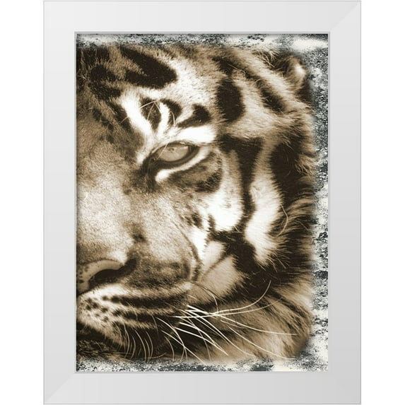 Lewis, Sheldon 14x18 White Modern Wood Framed Museum Art Print Titled - Tiger Claw 2