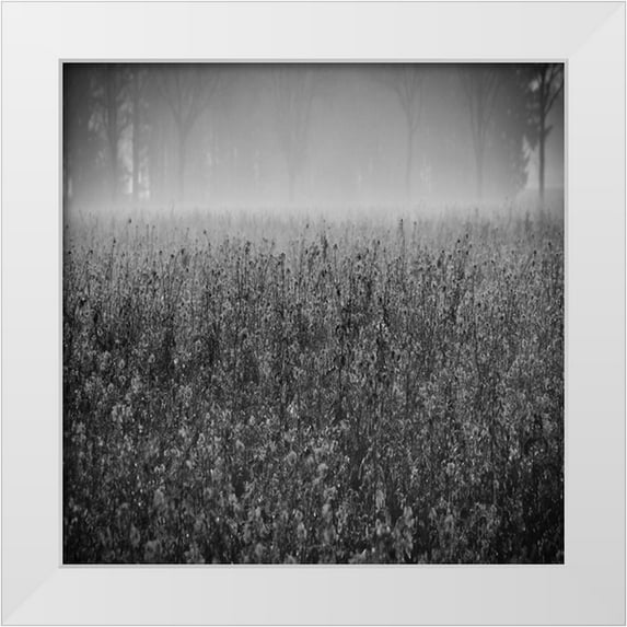 Lewis, Sheldon 15x15 White Modern Wood Framed Museum Art Print Titled - Wild Flower Field