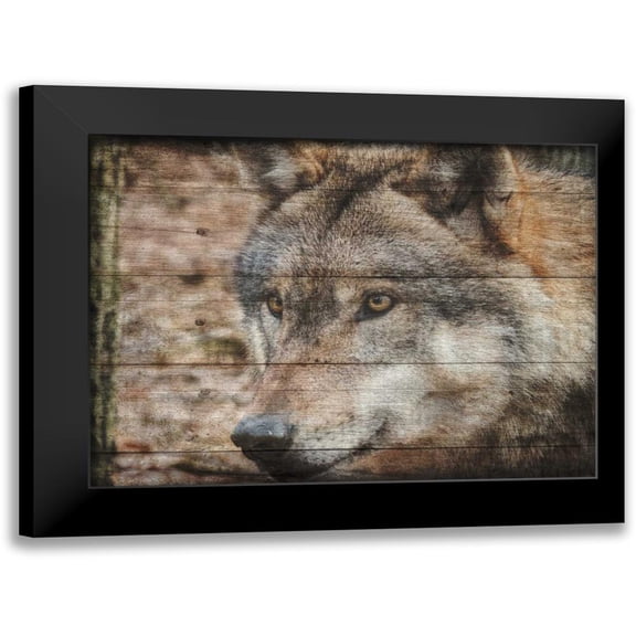 Lewis, Sheldon 18x15 Black Modern Framed Museum Art Print Titled - Alfa Wolf 2