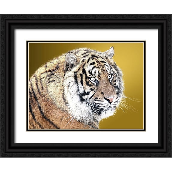 Lewis, Sheldon 18x15 Black Ornate Wood Framed with Double Matting Museum Art Print Titled - Tiger Eyes