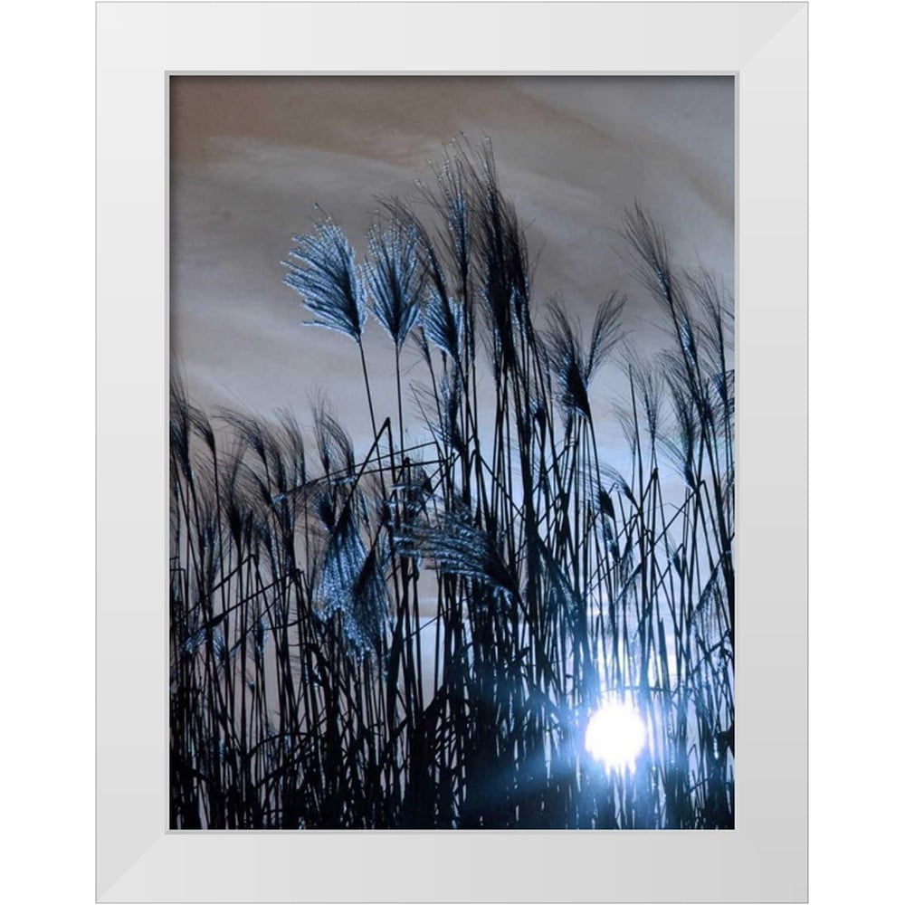 Sheldon Rene Lewis Lewis, Sheldon 19x24 White Modern Wood Framed Museum Art Print Titled ...